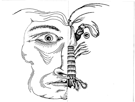 Gregory Doodle Image, Unfolded
