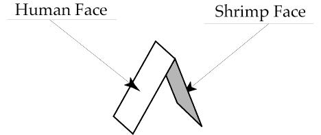 How Image Folds Diagram